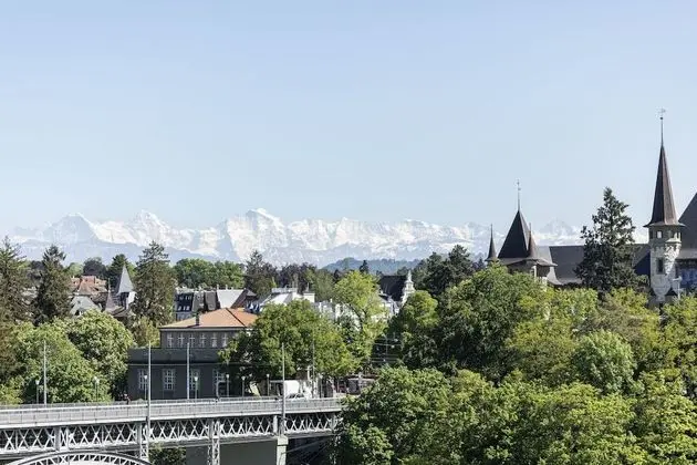 Süit, Kule