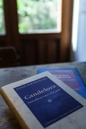 Classic Tek Büyük Yataklı Oda