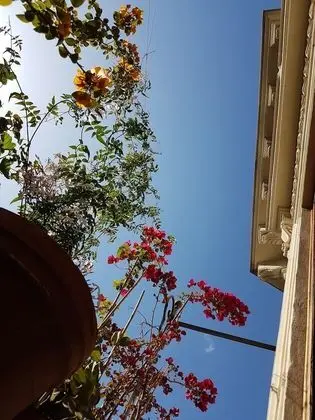 Design Tek Büyük Yataklı Oda, 1 Yatak Odası