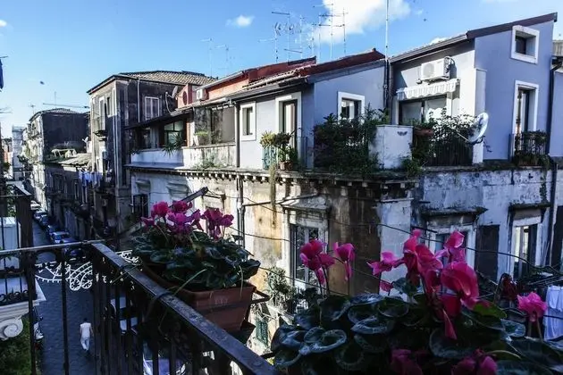 Family Tek Büyük Yataklı Oda, Küçük Mutfak