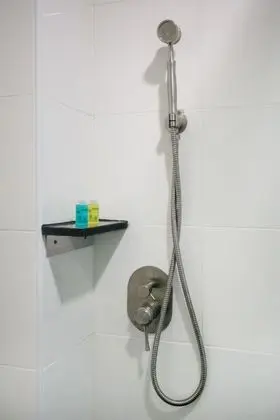 Süit