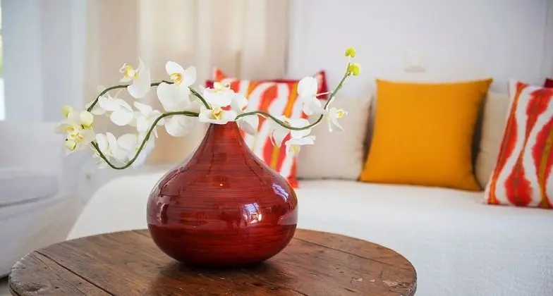 Apart Daire, 1 Yatak Odası, Deniz Manzaralı (Mykonos)