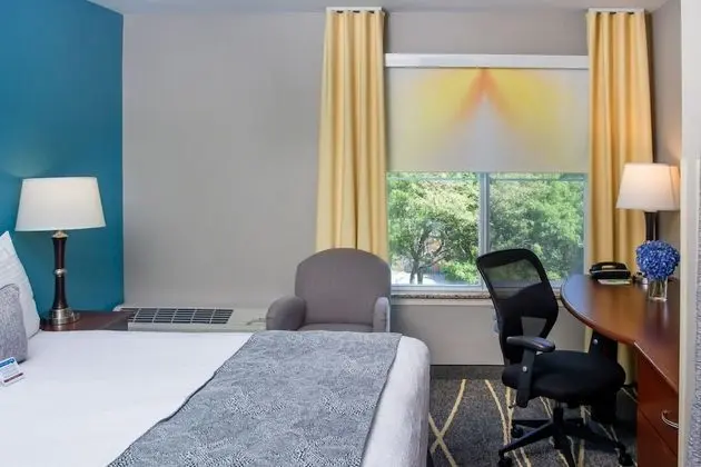 King Guestroom