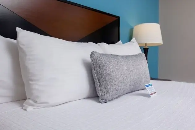 Queen Guestroom