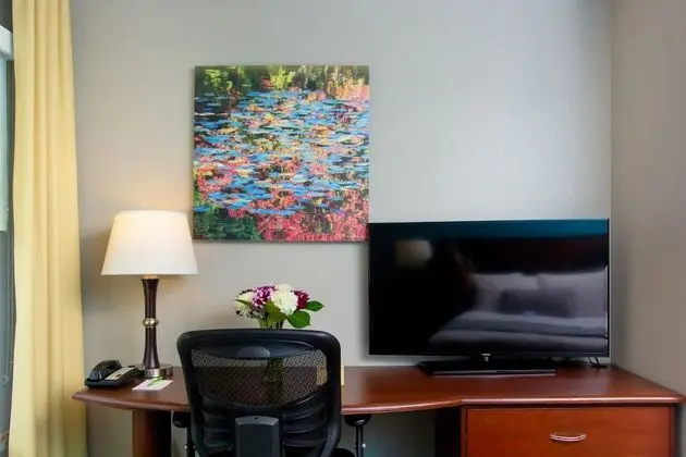 Queen Guestroom
