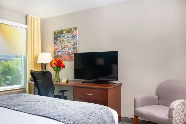 Queen Guestroom