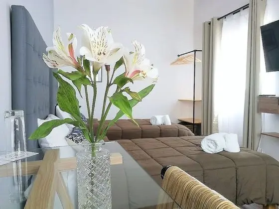 Superior Tek Büyük veya İki Ayrı Yataklı Oda, 2 Tek Kişilik Yatak, Sigara İçilmez, Özel Banyo