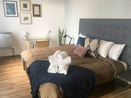 Superior Tek Büyük Yataklı Oda, 1 En Büyük (King) Boy Yatak, Sigara İçilmez, Özel Banyo