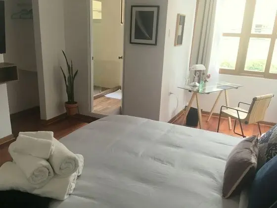 Superior Tek Büyük Yataklı Oda, 1 En Büyük (King) Boy Yatak, Sigara İçilmez, Özel Banyo