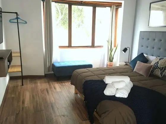 Superior Tek Büyük Yataklı Oda, 1 En Büyük (King) Boy Yatak, Sigara İçilmez, Özel Banyo