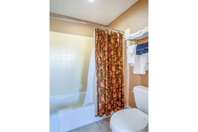 Premium Oda, 1 En Büyük (King) Boy Yatak