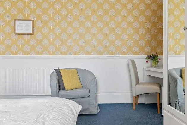 Superior Tek Büyük veya İki Ayrı Yataklı Oda, Banyolu/Duşlu