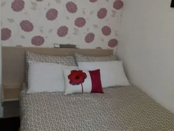 Basic Tek Büyük Yataklı Oda, Banyolu/Duşlu (small Double)