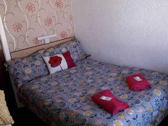 Standard Tek Büyük Yataklı Oda, Banyolu/Duşlu