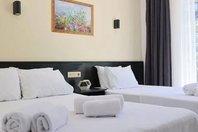 Standart Oda - Dağ Manzaralı