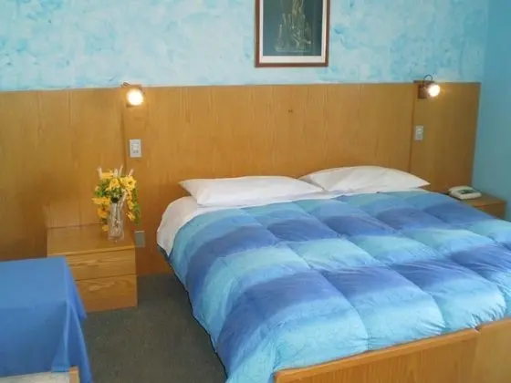 Double Room Single Use