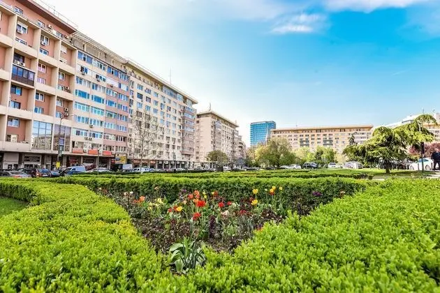 Apart Daire, 2 Yatak Odası, Mikrodalga