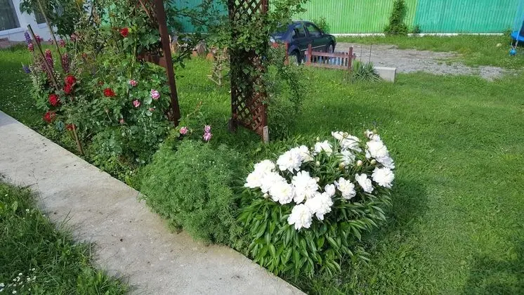 Comfort Apart Daire, Bahçe Manzaralı