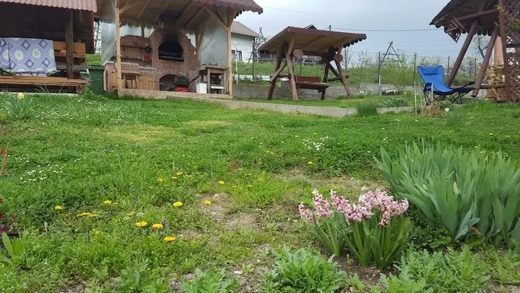 Comfort Apart Daire, Bahçe Manzaralı