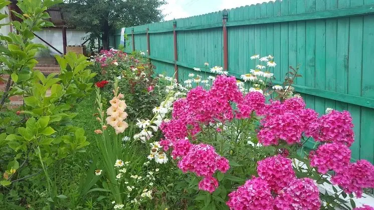 Comfort Apart Daire, Bahçe Manzaralı