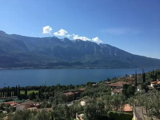 Deluxe Oda, 1 Çift Kişilik Yatak, Balkon, Göl Manzaralı