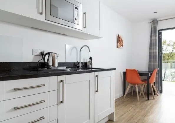 Deluxe Apart Daire, 1 Çift Kişilik Yatak ve Çekyat, Mutfak