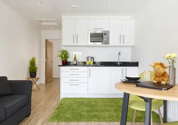 Deluxe Apart Daire, 1 Çift Kişilik Yatak ve Çekyat, Mutfak