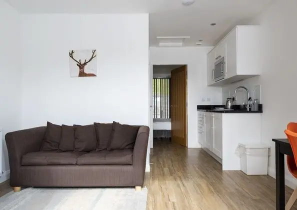 Deluxe Apart Daire, 1 Çift Kişilik Yatak ve Çekyat, Mutfak