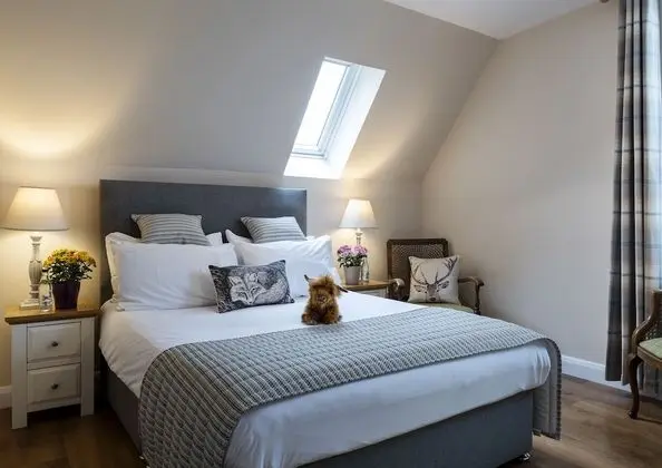 Standard Tek Büyük Yataklı Oda, 1 Çift Kişilik Yatak