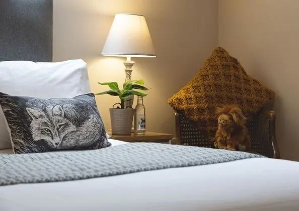 Standard Tek Büyük Yataklı Oda, 1 Çift Kişilik Yatak