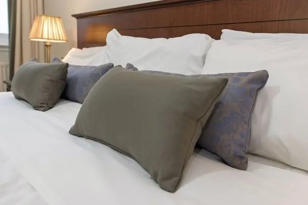 Deluxe Tek Büyük Yataklı Oda, Dağ Manzaralı
