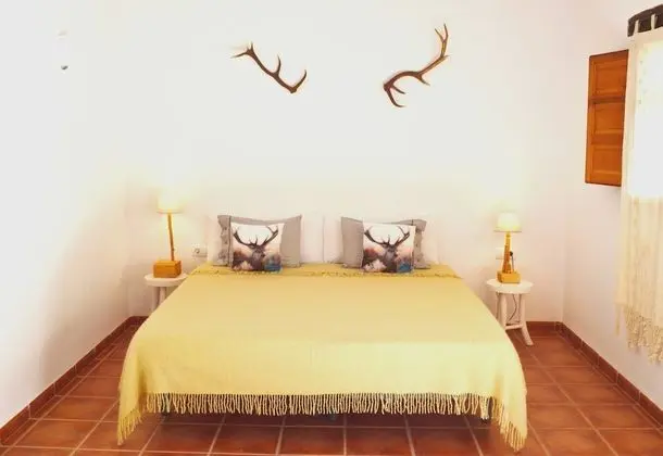 Tek Büyük Yataklı Oda, 1 Yatak Odası, Havuz Kullanımı, Avlu Manzaralı