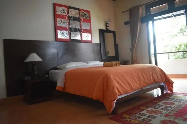 Deluxe Oda, 1 Yatak Odası