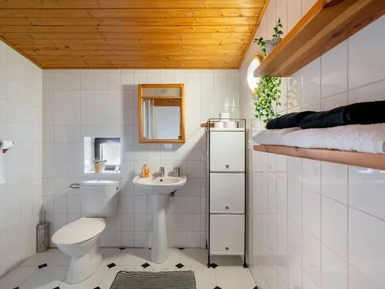 Ev