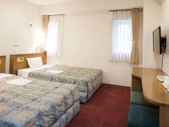 Deluxe İki Ayrı Yataklı Oda, Sigara İçilmez