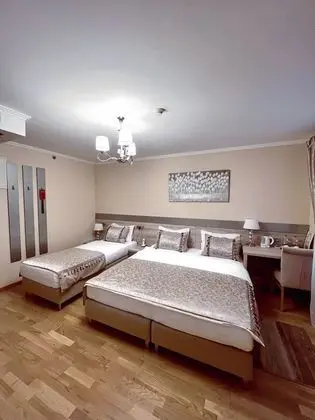 Basic Üç Kişilik Oda (Run of the House)