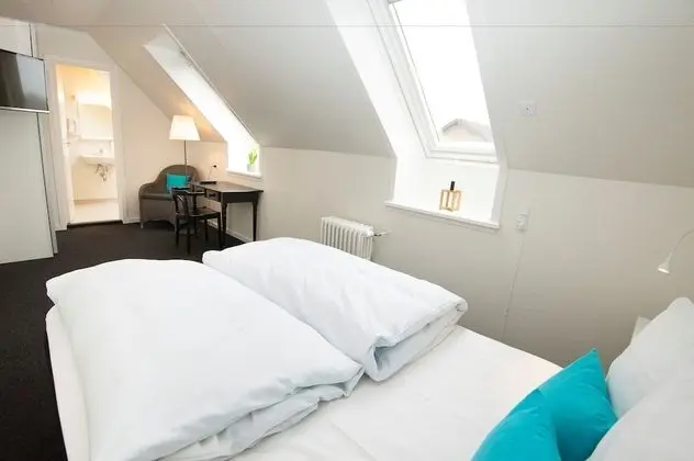 Tek Büyük Yataklı Oda, Banyolu/Duşlu