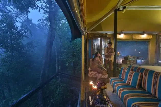 Çadır (Wild)