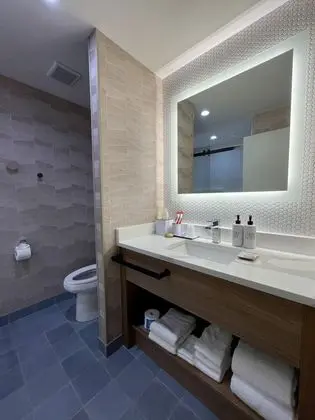 Luxury Süit, 1 En Büyük (King) Boy Yatak ve Çekyat, Engellilere Uygun