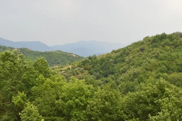 Panoramic Tek Büyük Yataklı Oda, 1 Çift Kişilik Yatak, Teras, Tepe Manzaralı