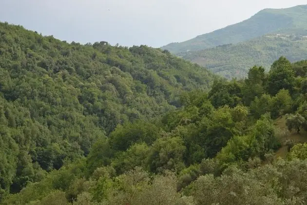Panoramic Tek Büyük Yataklı Oda, 1 Çift Kişilik Yatak, Teras, Tepe Manzaralı