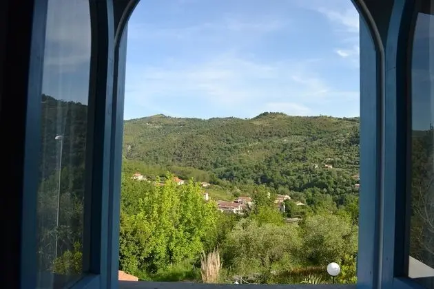 Standard Tek Büyük Yataklı Oda, 1 Çift Kişilik Yatak, Özel Banyo, Tepe Manzaralı