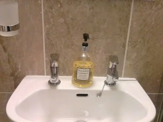 Superior İki Ayrı Yataklı Oda (Ensuite with Shower, Garden View)