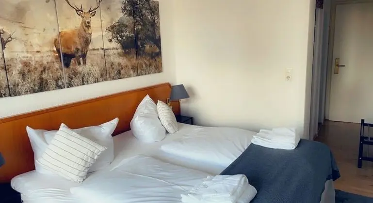 Panoramic Tek Büyük Yataklı Oda, Balkon, Dağ Yamacı