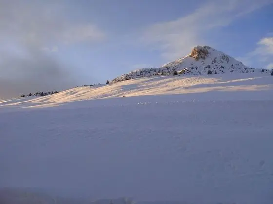 Economy Tek Büyük Yataklı Oda
