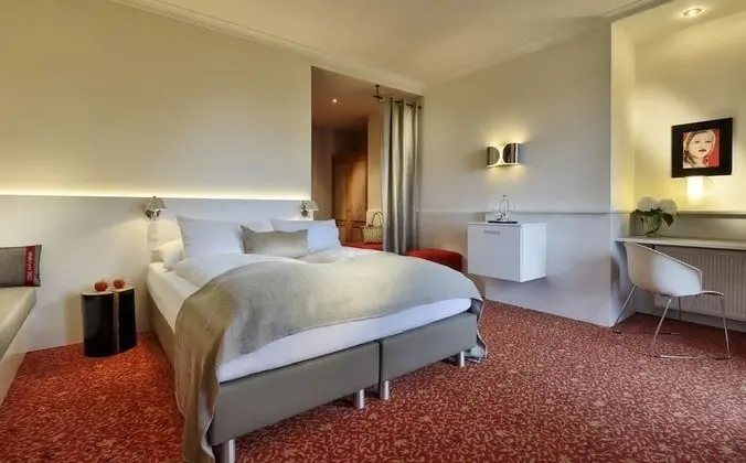 Superior Tek Büyük Yataklı Oda