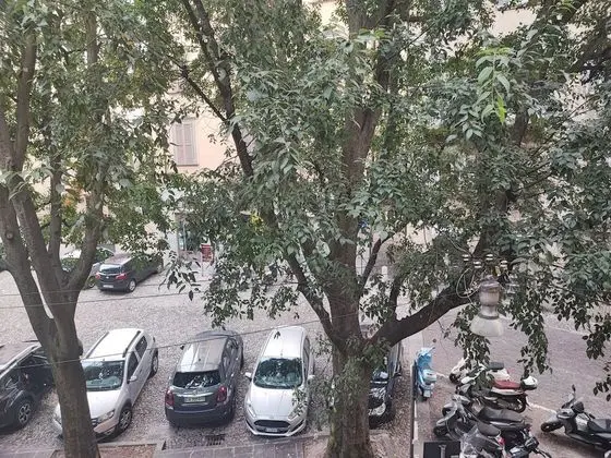 Comfort Süit, 1 Yatak Odası