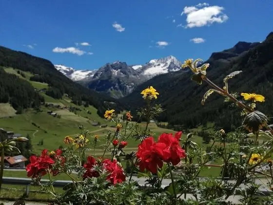 Tek Büyük Yataklı Oda, Balkon, Dağ Manzaralı