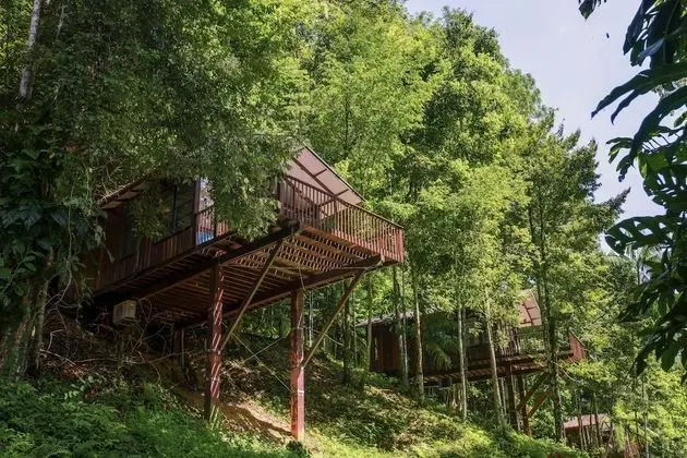 Dağ Evi (C)