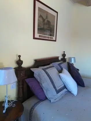 Deluxe Tek Büyük Yataklı Oda (Ellerslie)